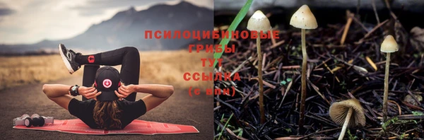 экстази Переславль-Залесский