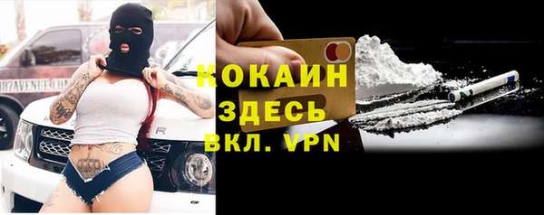 2c-b Пестово