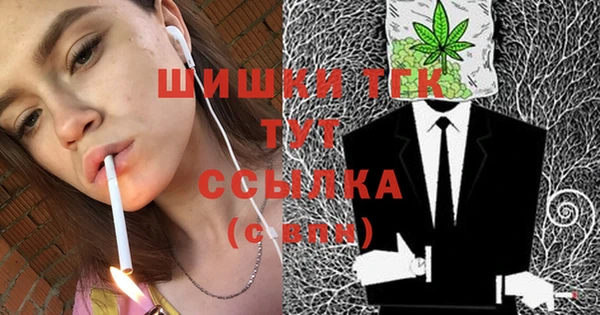 2c-b Пестово