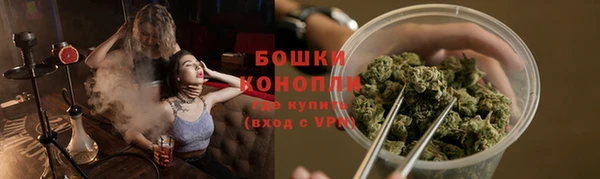 ешки Пересвет