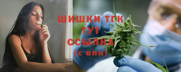 2c-b Пестово