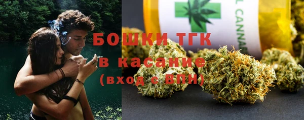 ешки Пересвет