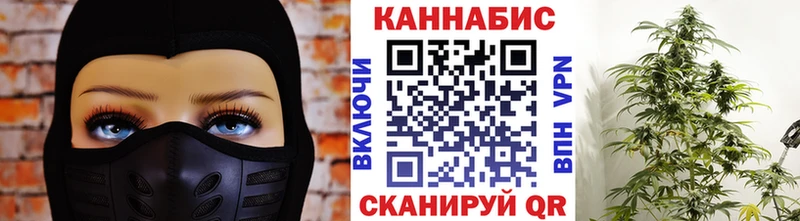 mega сайт  Ужур  Бошки Шишки план 